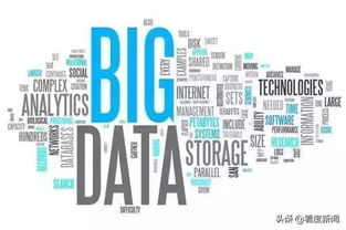 金融服務(wù)鄉(xiāng)村振興 農(nóng)險的創(chuàng)新與發(fā)展與互聯(lián)網(wǎng)數(shù)據(jù)服務(wù)的融合