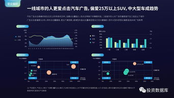 國雙數(shù)據(jù)中心2017年互聯(lián)網(wǎng)發(fā)展報告 互聯(lián)網(wǎng)數(shù)據(jù)服務(wù)的前景與挑戰(zhàn)